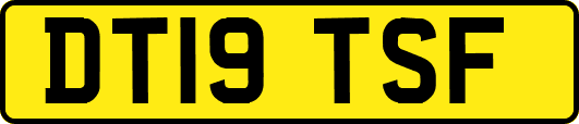 DT19TSF