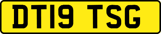 DT19TSG