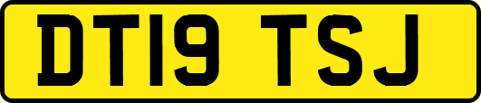 DT19TSJ