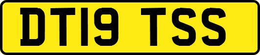 DT19TSS