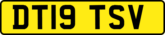 DT19TSV