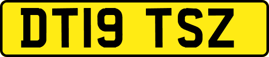 DT19TSZ