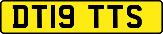 DT19TTS