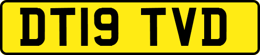 DT19TVD