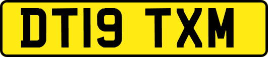 DT19TXM