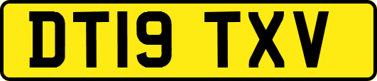 DT19TXV