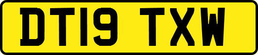 DT19TXW