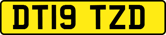 DT19TZD