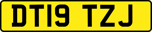 DT19TZJ