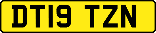 DT19TZN