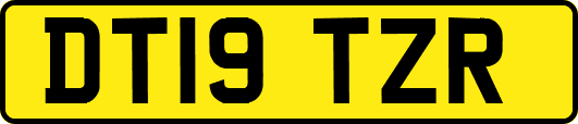 DT19TZR