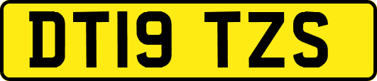 DT19TZS