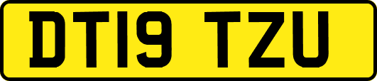 DT19TZU