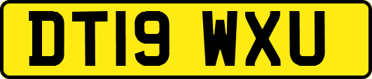 DT19WXU