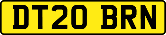 DT20BRN