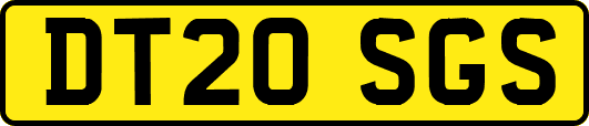 DT20SGS
