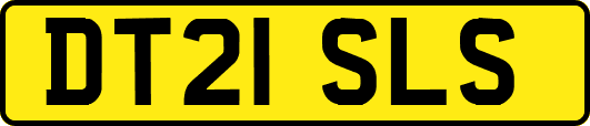 DT21SLS