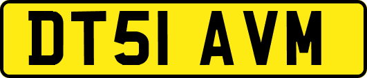 DT51AVM