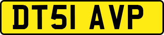 DT51AVP