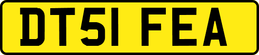 DT51FEA
