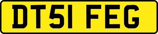 DT51FEG