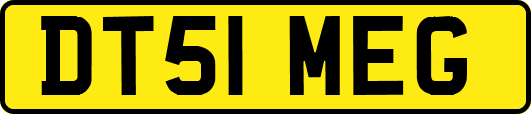 DT51MEG