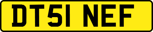 DT51NEF