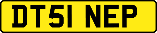 DT51NEP