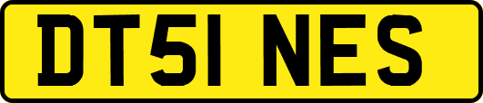 DT51NES