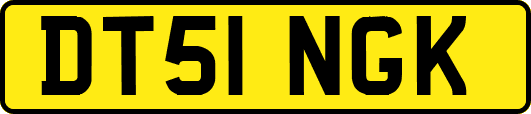 DT51NGK
