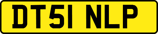 DT51NLP