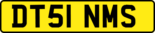 DT51NMS