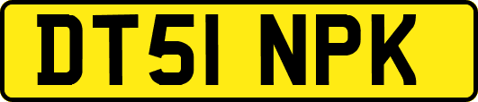 DT51NPK