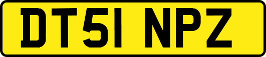 DT51NPZ