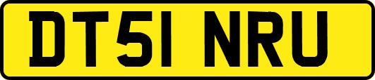 DT51NRU