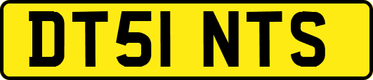 DT51NTS