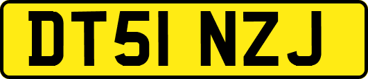 DT51NZJ