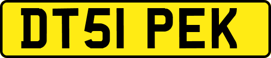 DT51PEK