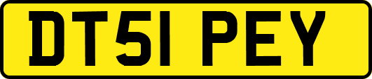 DT51PEY