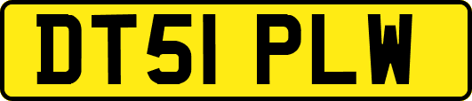 DT51PLW