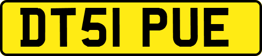 DT51PUE