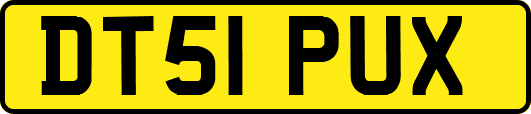 DT51PUX