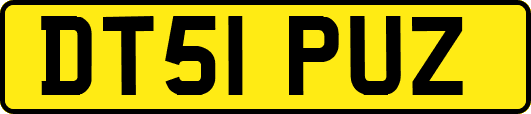 DT51PUZ