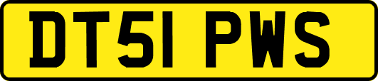 DT51PWS