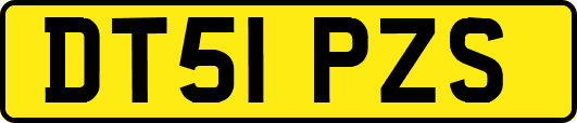 DT51PZS