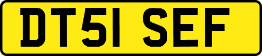DT51SEF