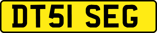 DT51SEG