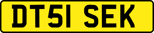 DT51SEK