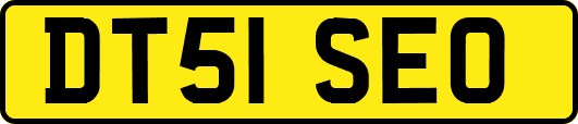DT51SEO