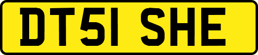 DT51SHE